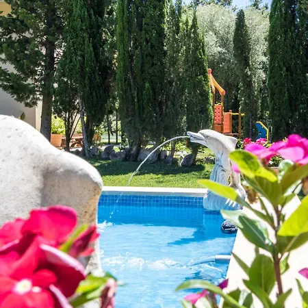 Llamas - Villa Pollenca