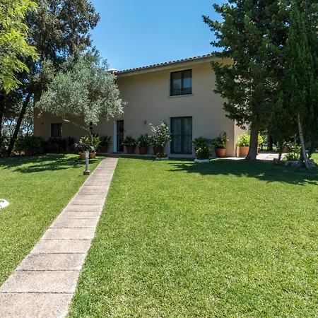 Llamas - Villa Pollenca