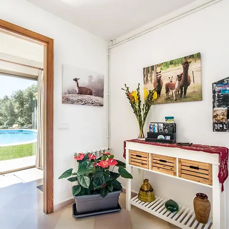 Villa Llamas - *