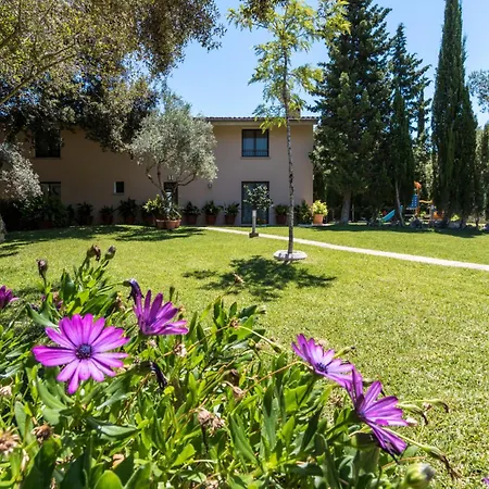 Llamas - Villa Pollenca